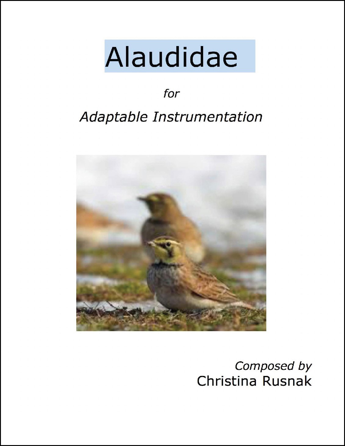 thumbnail-Cover