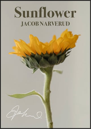 thumbnail-Cover
