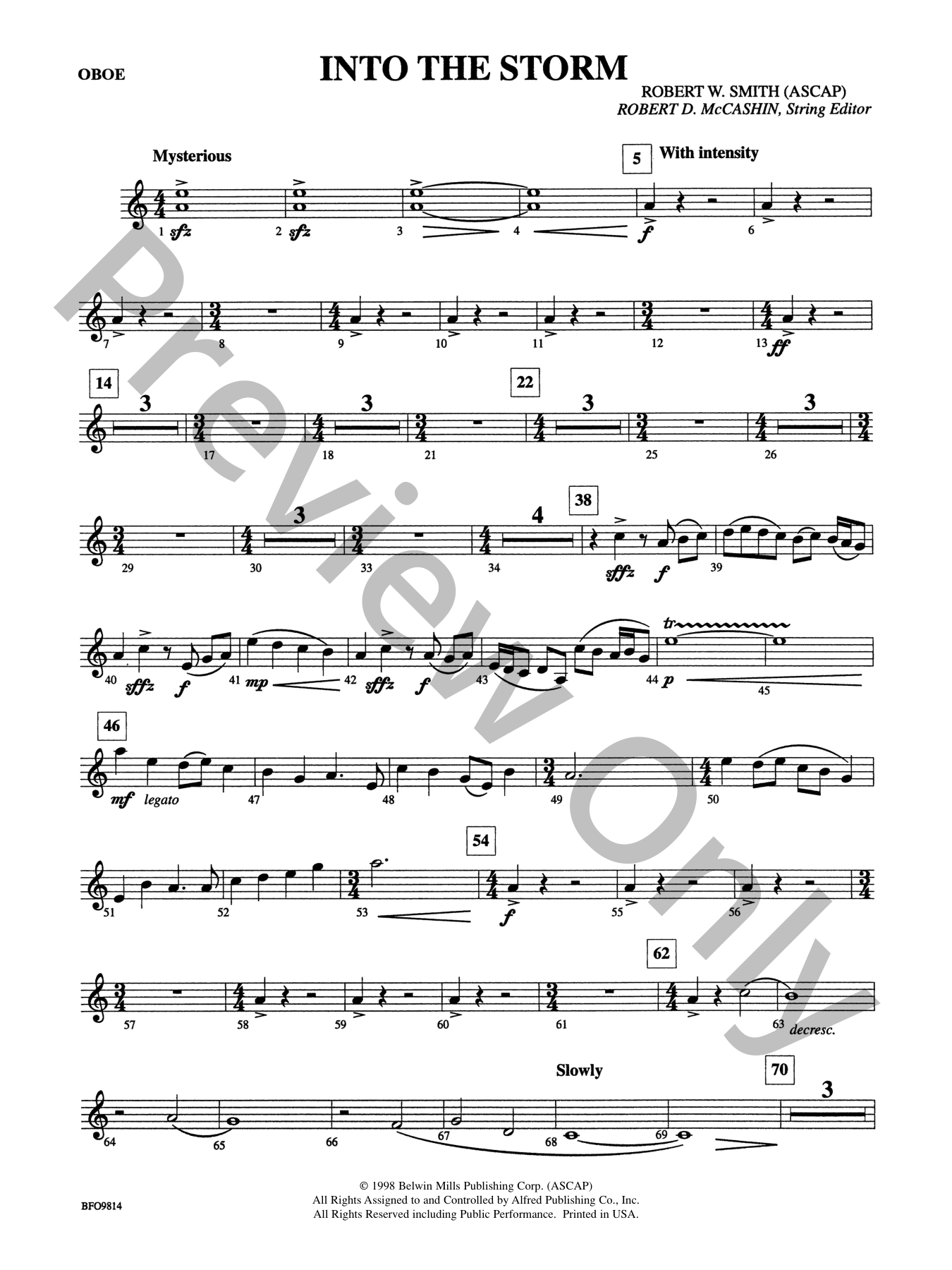 Into the Storm Orchestra Sheet Music | J.W. Pepper