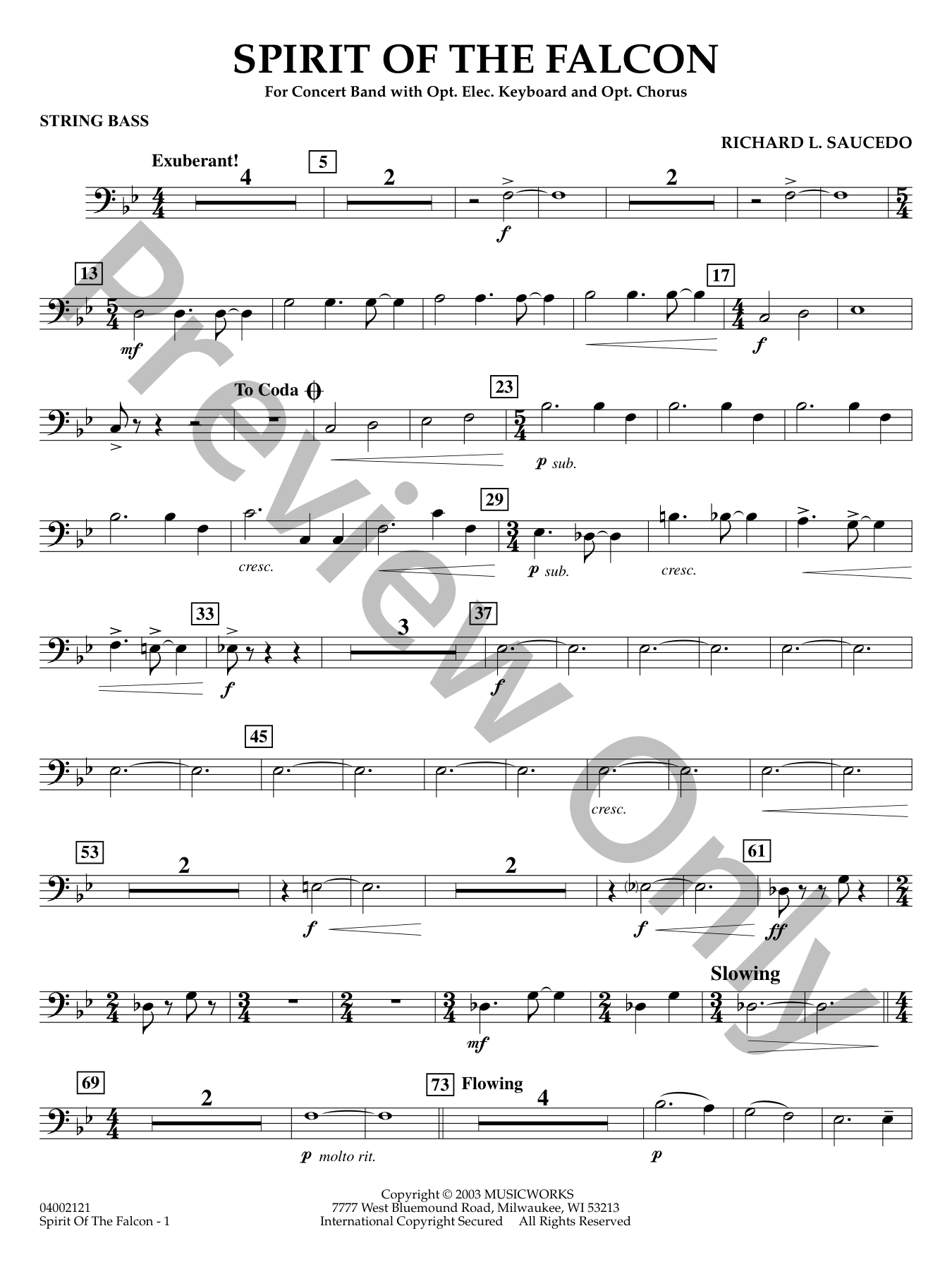 Spirit of the Falcon Concert Band Sheet Music | J.W. Pepper