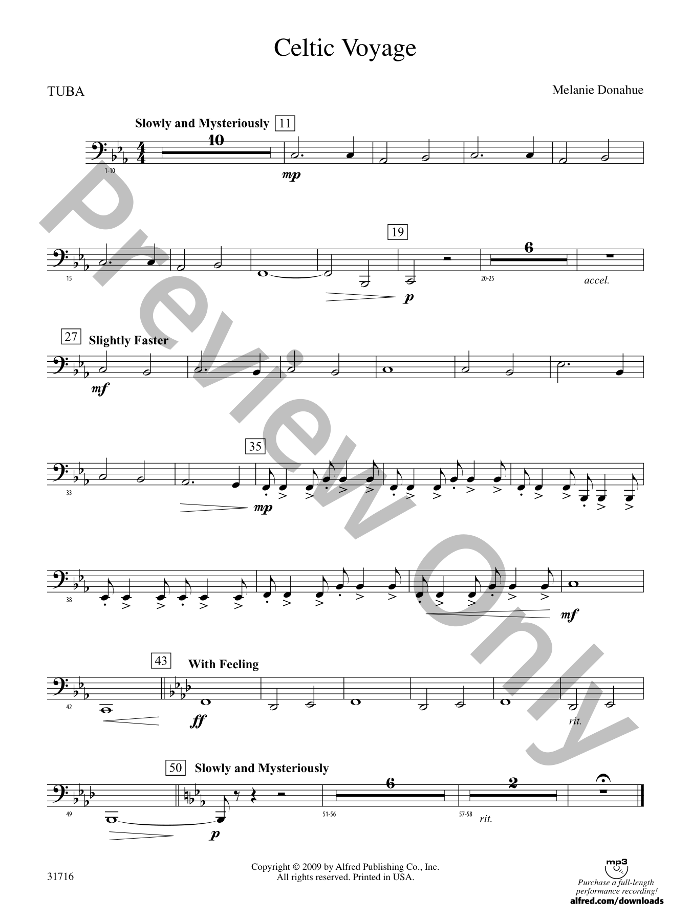 未使用・未開封品)Celtic Voyage [DVD]