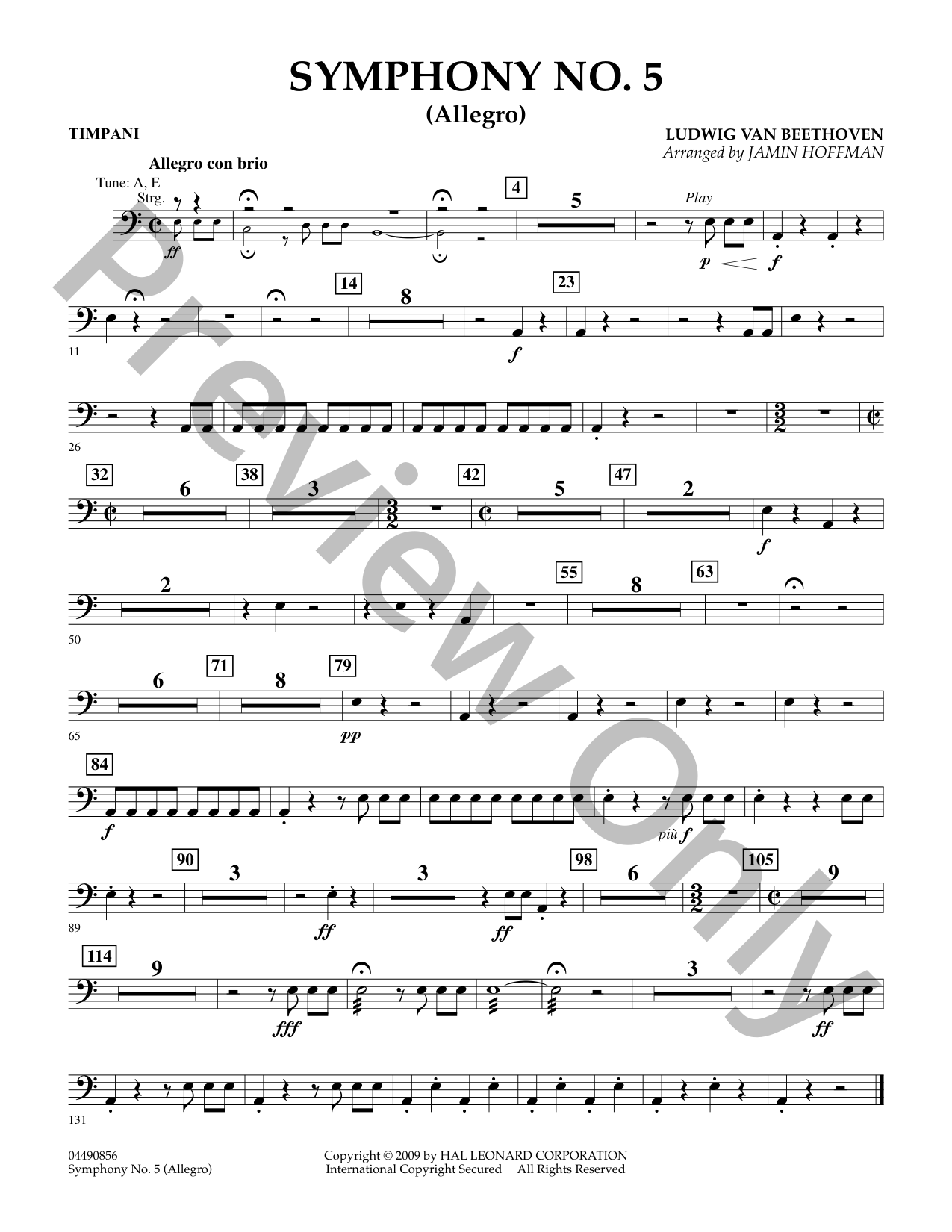 Symphony No. 5 Orchestra Sheet Music | J.W. Pepper
