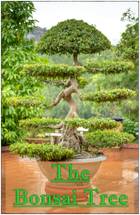 Cover thumbnail