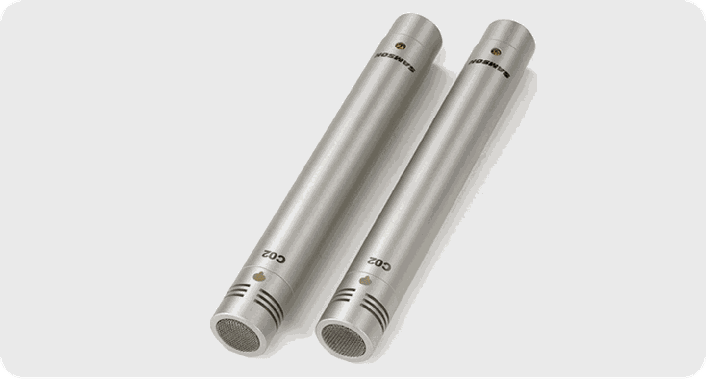 Samson C02 Pencil Condenser microphones.