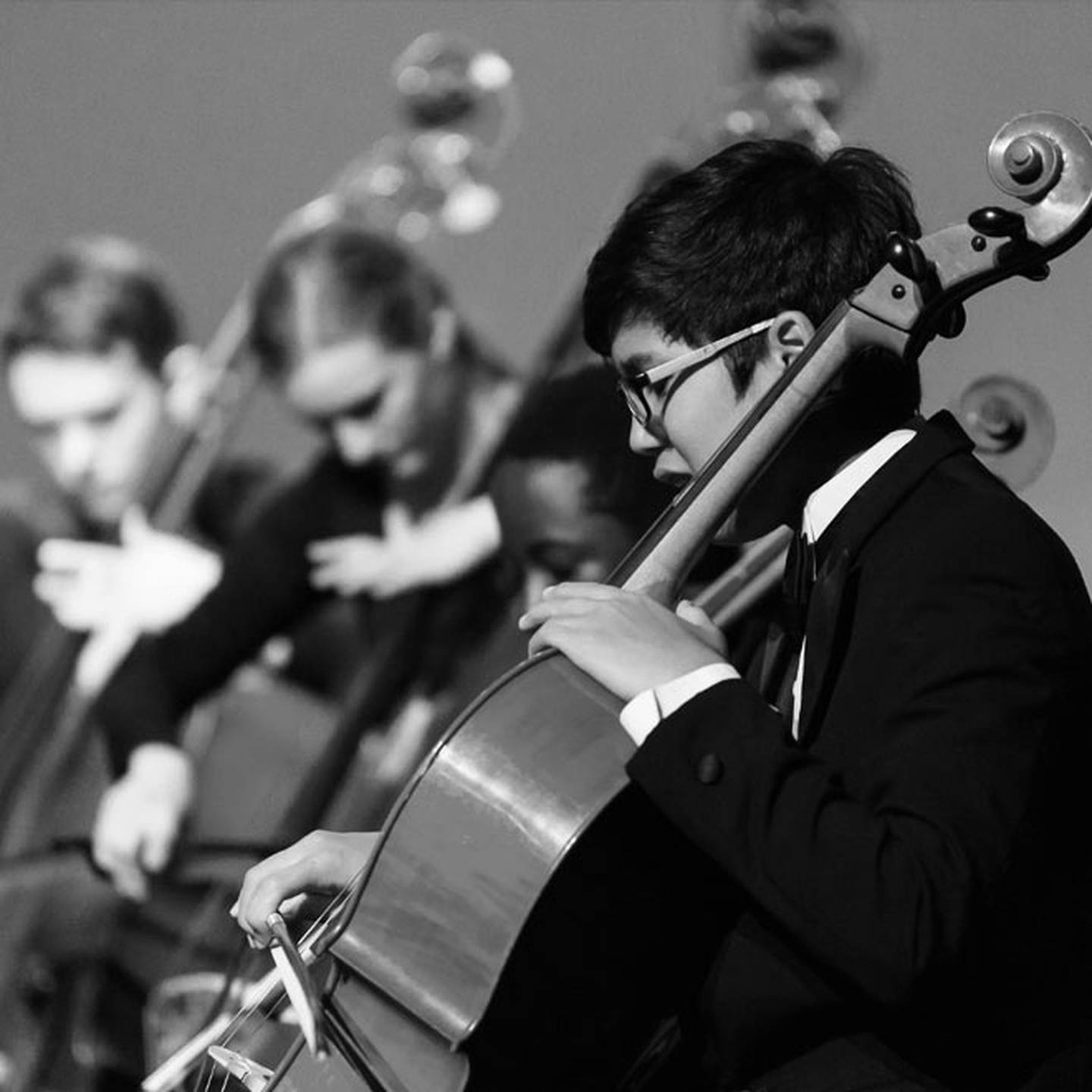 orchestra cello performer