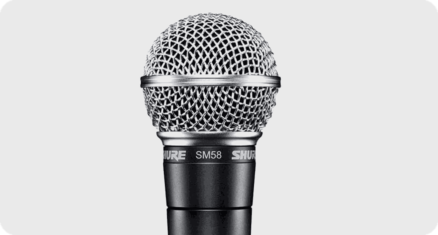 SM58 microphone.