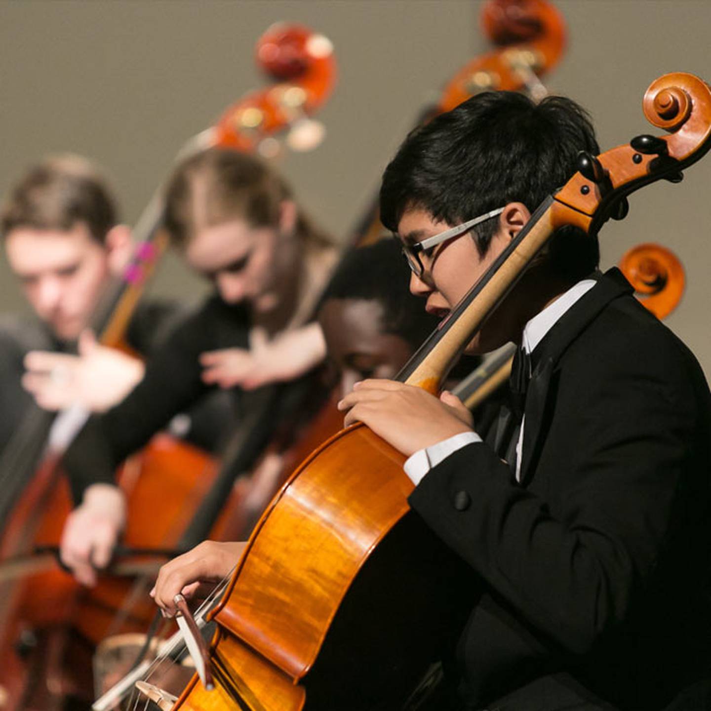orchestra cello performer