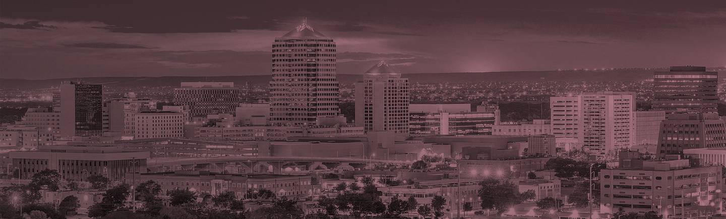 New Mexico State